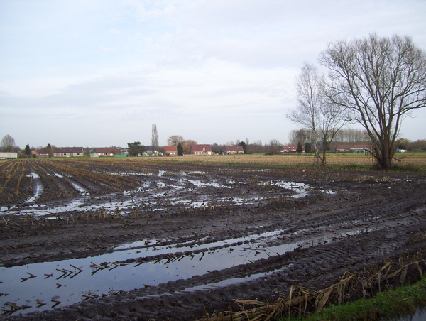 Wandeling langs Zorgvliet - 17 december 2015