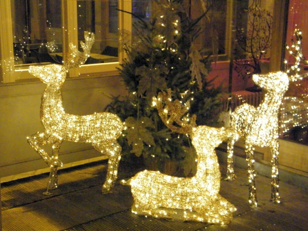 Aktivia wandeling Oostende in Kerstlicht