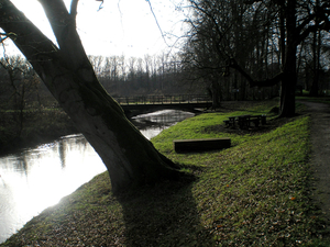 rustige rivier