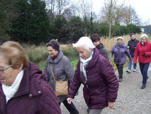 Omgekeerde Papenhofke wandeling - 21 december 2015