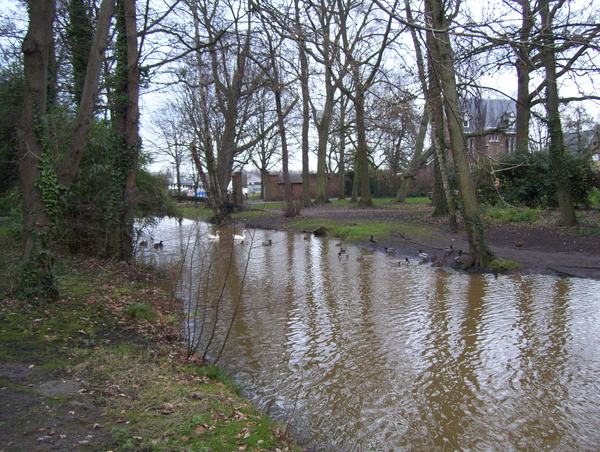 Omgekeerde Papenhofke wandeling - 21 december 2015