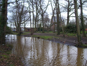 Omgekeerde Papenhofke wandeling - 21 december 2015