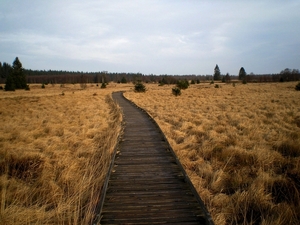 oppassen rotte planken