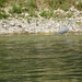 DSC03625
