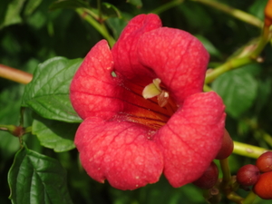 DSC03655