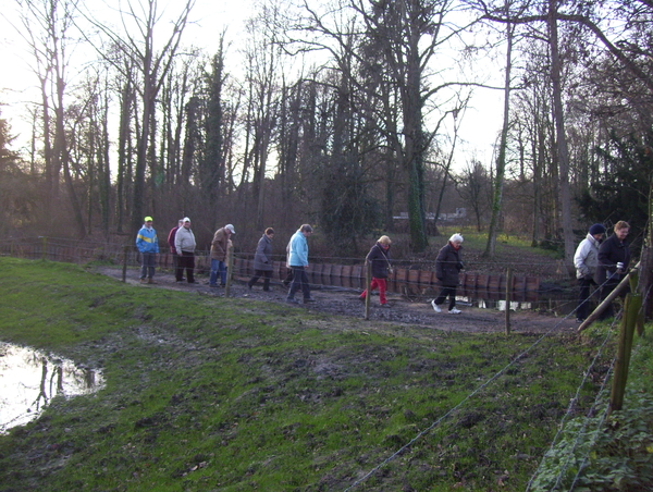 Wandeling Suske Wiet in Roosendael - 28 december 2015