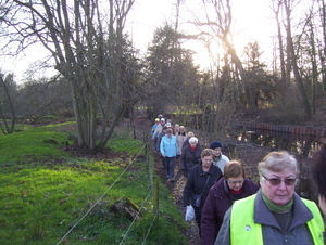 Wandeling Suske Wiet in Roosendael - 28 december 2015