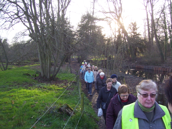 Wandeling Suske Wiet in Roosendael - 28 december 2015