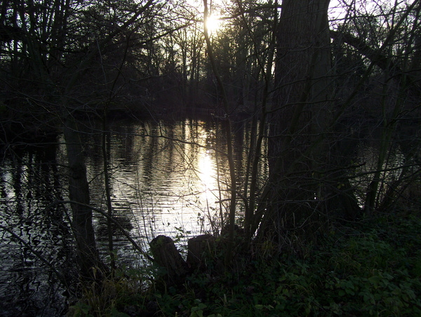 Wandeling Suske Wiet in Roosendael - 28 december 2015