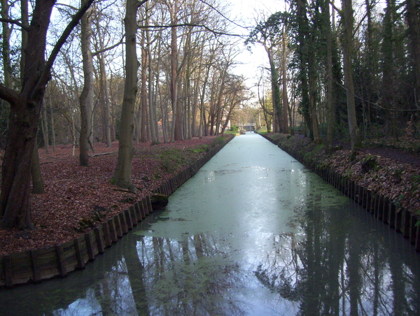 Wandeling Suske Wiet in Roosendael - 28 december 2015