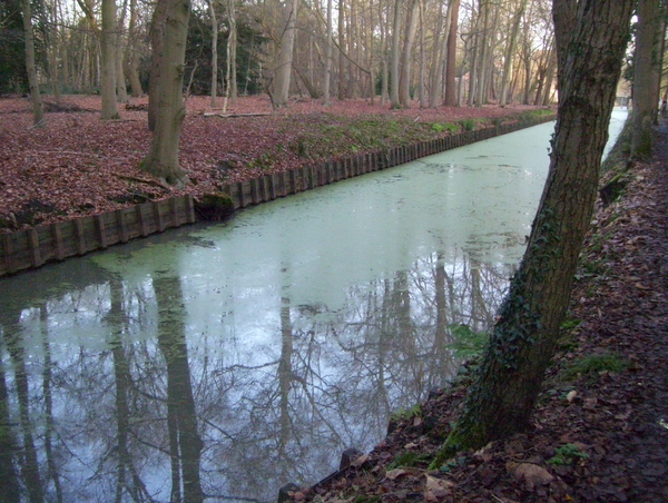 Wandeling Suske Wiet in Roosendael - 28 december 2015