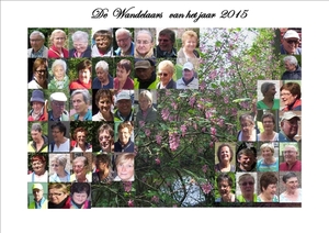 Wandelaars in 2015