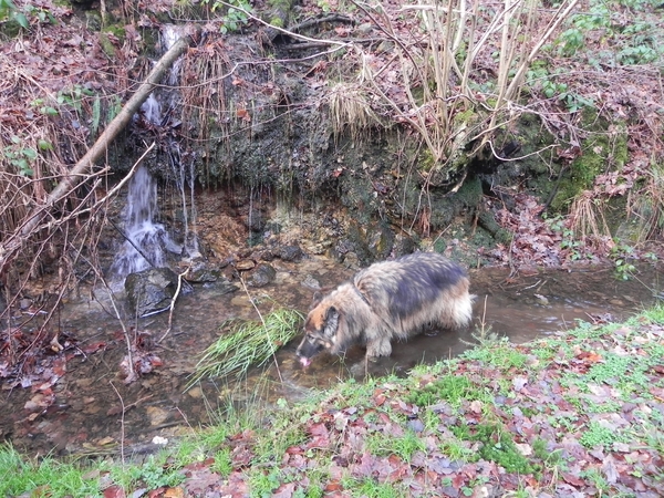 lekker fris water