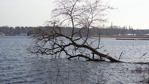 28 Februari Hofstade  NWD