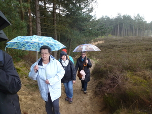 Zandvliet 24 april  26ste Intern.Poldertochten