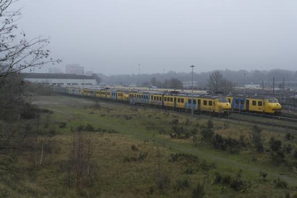 Helaas staat ze een niet zo'n rooskleurige toekomst te wachten...