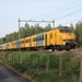 884+921 Rothem 28-04-2010