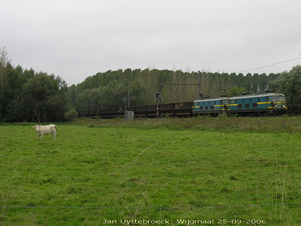 2306 Wijgmaal 25-09-2006