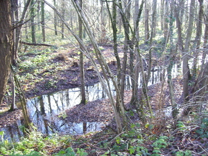 Wandeling naar blekke doos - 14 januari 2016