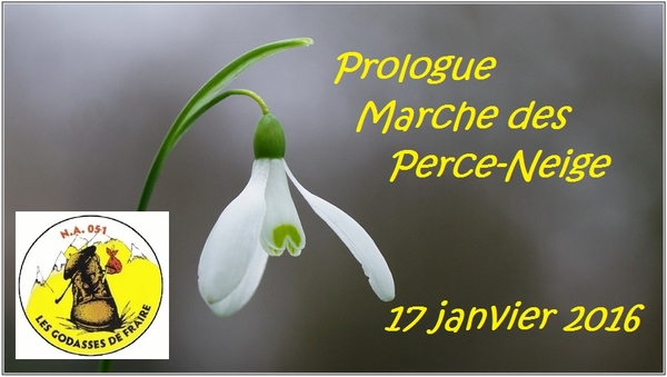 Prologue marche perce-neige Laneffe