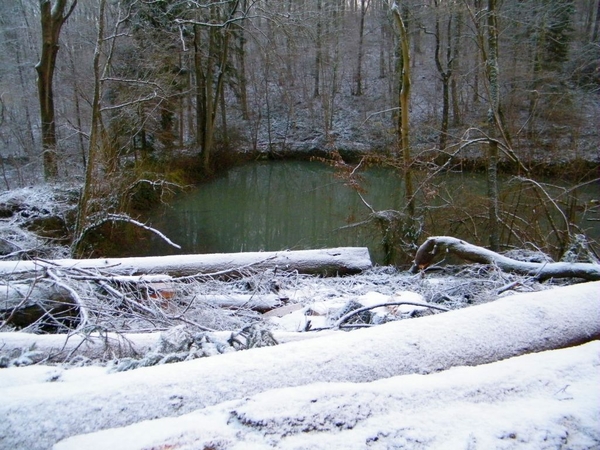 Prologue marche perce-neige Laneffe