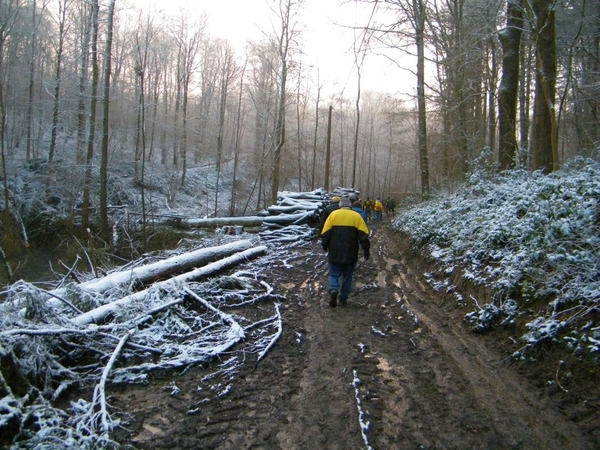Prologue marche perce-neige Laneffe