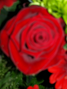 P4305912