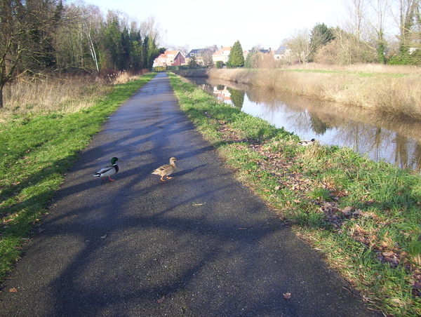 Wandeling naar Tivoli en ??? - 21 januari 2016