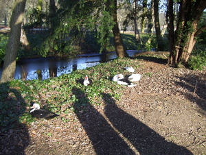 Wandeling naar Tivoli en ??? - 21 januari 2016