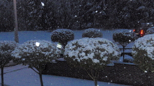 EERSTE SNEEUW WINTER 2015-2016 (2)