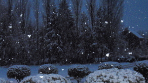 EERSTE SNEEUW WINTER 2015-2016 (5)