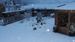 EERSTE SNEEUW WINTER 2015-2016 (8)