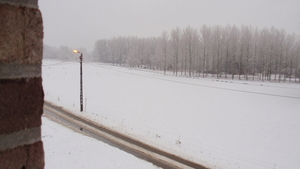 EERSTE SNEEUW WINTER 2015-2016 (12)