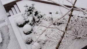 EERSTE SNEEUW WINTER 2015-2016 (15)