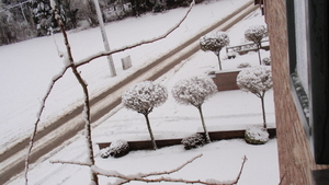 EERSTE SNEEUW WINTER 2015-2016 (16)