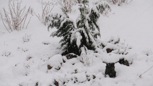 EERSTE SNEEUW WINTER 2015-2016 (23)