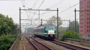 Den Haag Mariahoeve - Het witte vlak op de neus was verplicht