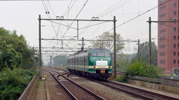 Den Haag Mariahoeve - Het witte vlak op de neus was verplicht