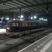 Kameel op spoor 4 station Eindhoven