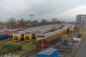 49 stuks. Bijna de gehele vloot aan Buffels staat in Nijmegen