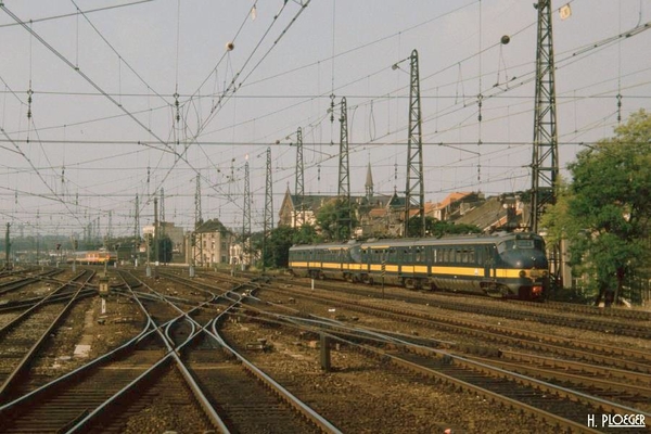 Benelux Hondekop bij Brussel. 15-07-1986