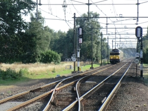 Putten. juli 2019