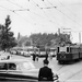 Leiden 1955