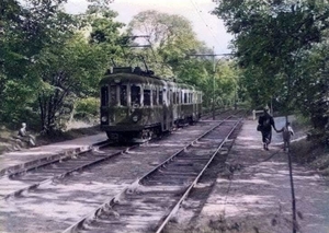 Blauwe tram op het traject Scheveningse bosjes (opgeheven 31 augu