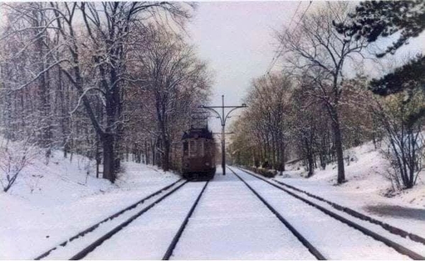 Blauwe tram op het traject Scheveningse bosjes (opgeheven 31 augu