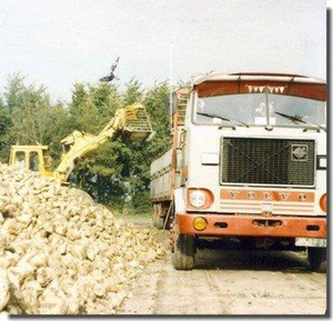 Suikerbieten laden