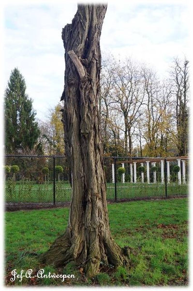 Antwerpen, Bouckenborghpark,