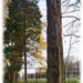 Bouckenborghpark.