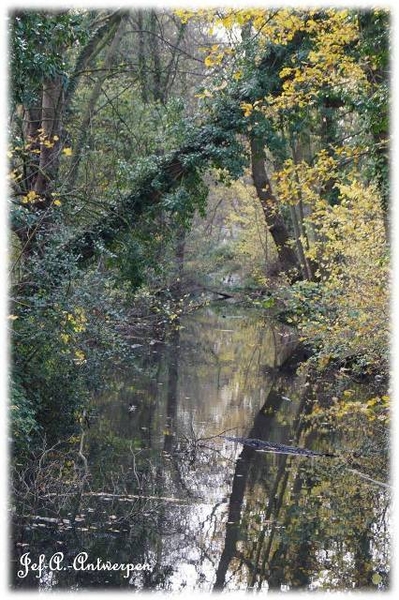 Antwerpen, Bouckenborghpark,