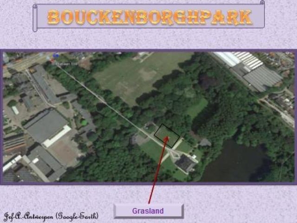 Antwerpen, Bouckenborghpark,